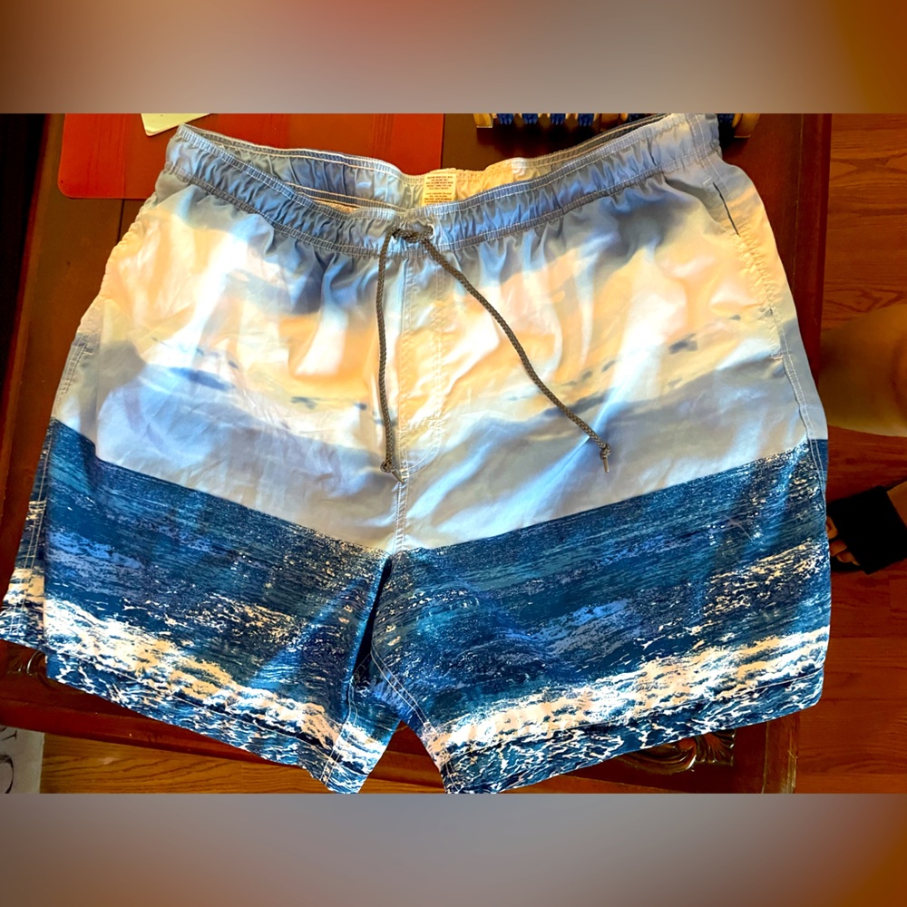 Mens 2XL Swim Shorts